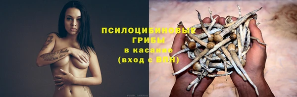 герыч Алзамай