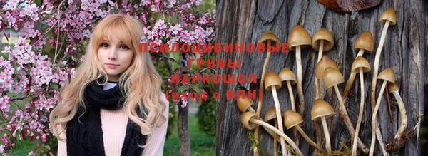 соль ск Алексеевка