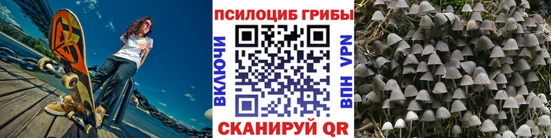 это состав  Калязин  Галлюциногенные грибы Cubensis 